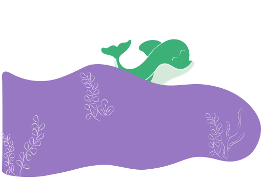 dolphin dive visual